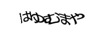 Authentication image
