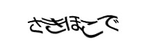 Authentication image