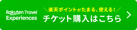 スマートフォンで事前購入　楽天　