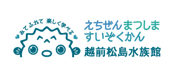 Link to Echizen Matsushima Aquarium website